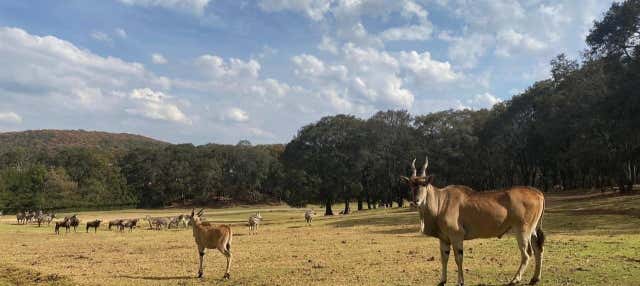 Excursão ao Bioparque Estrella