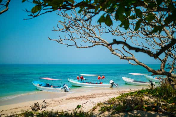 Escursione a Veracruz e all'isola di Enmedio