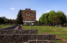 Free tour por la Ciudad Universitaria y el barrio de San Ángel