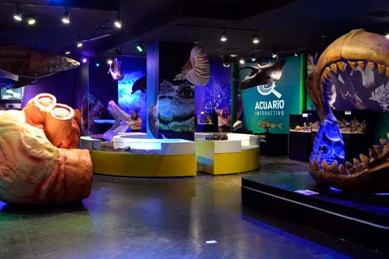 Uma das exposições do aquário