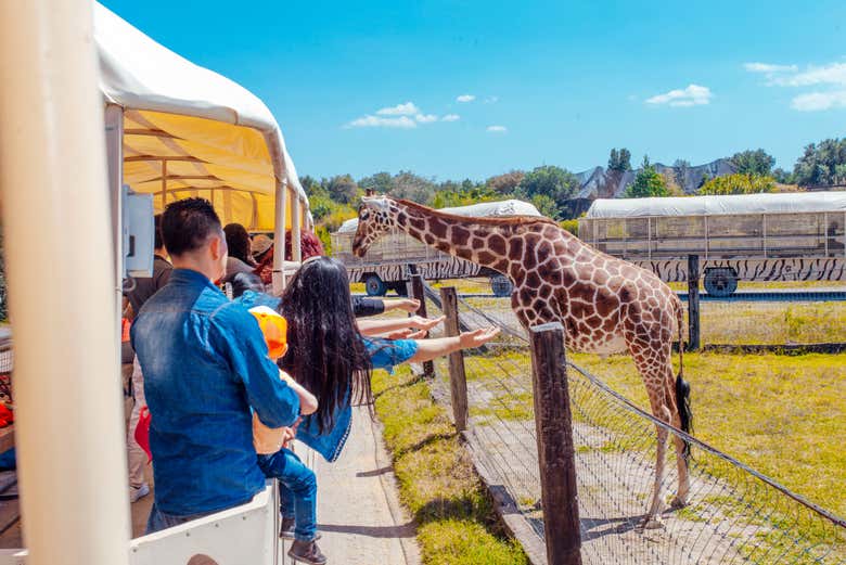 Reino Animal conservation centre