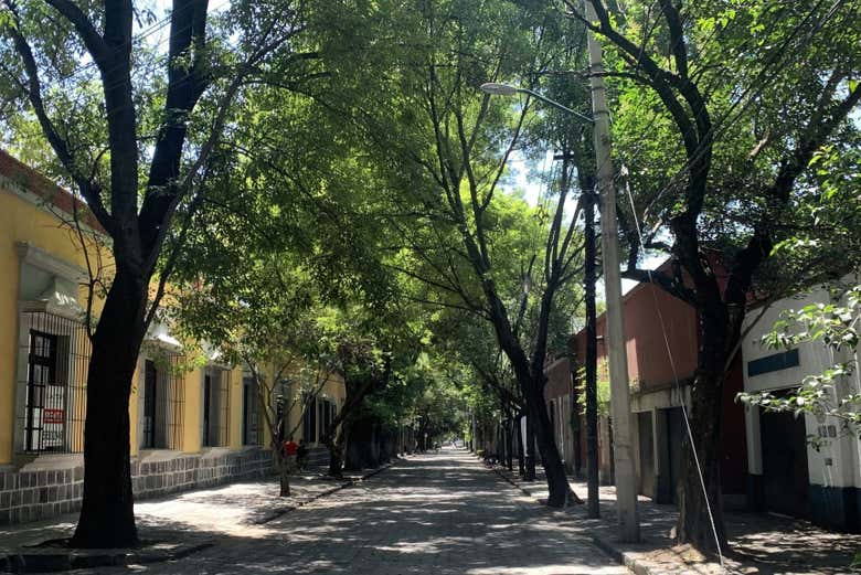 Las calles arboladas de Coyoacán