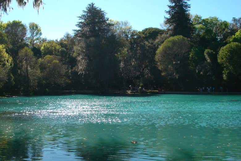 Bosque de las Truchas