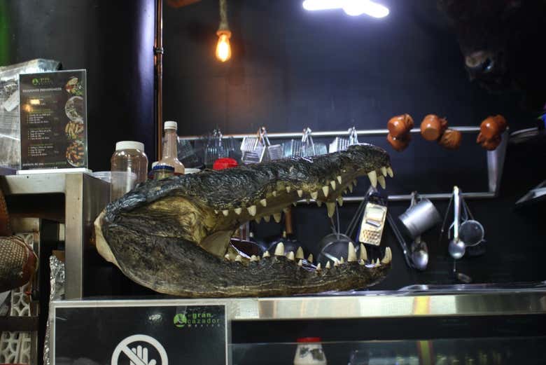 La cabeza de un cocodrilo de exposición en una cocina