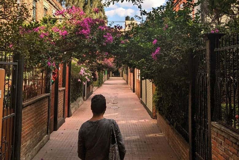 Free tour por el barrio de Santa María la Ribera, Ciudad de México Free tour por el barrio de Santa María la Ribera, Ciudad de México