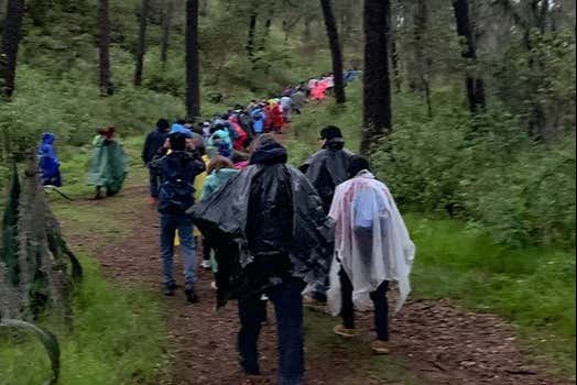 Buscando a las luciérnagas