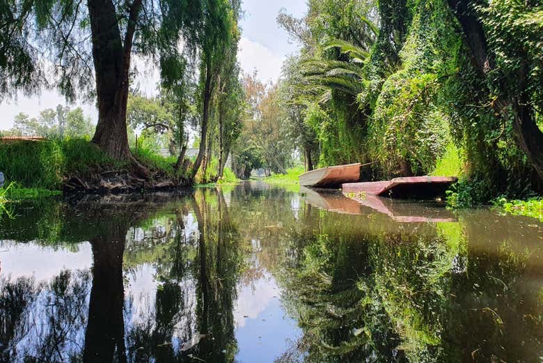 Canal de Xochimilco