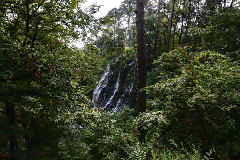 Cascada Velo de Novia