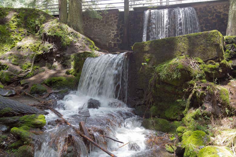 Waterfalls on the trail