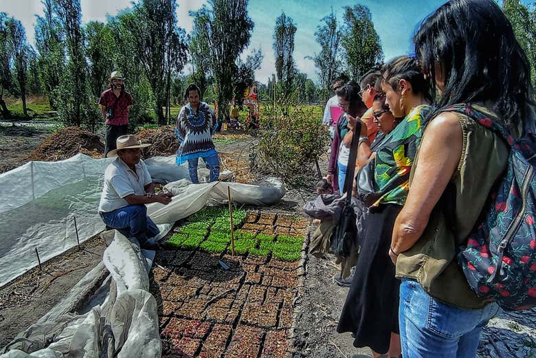 Durante a visita a uma horta tradicional da região