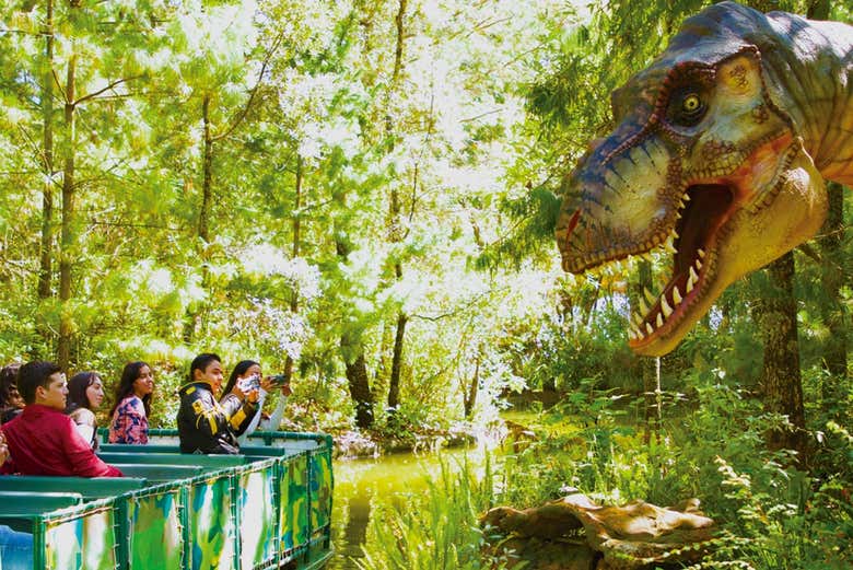 Percorrendo o parque