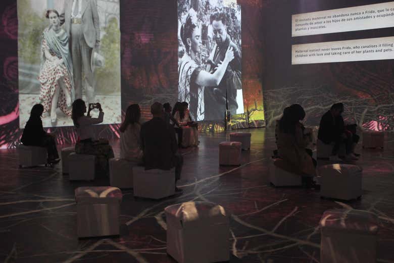 Viitando la mostra immersiva