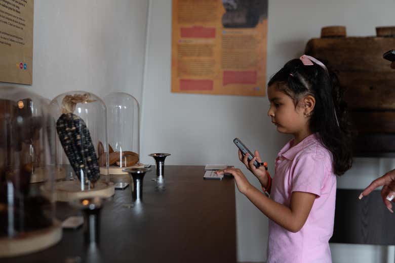 Explorando la exposición del museo