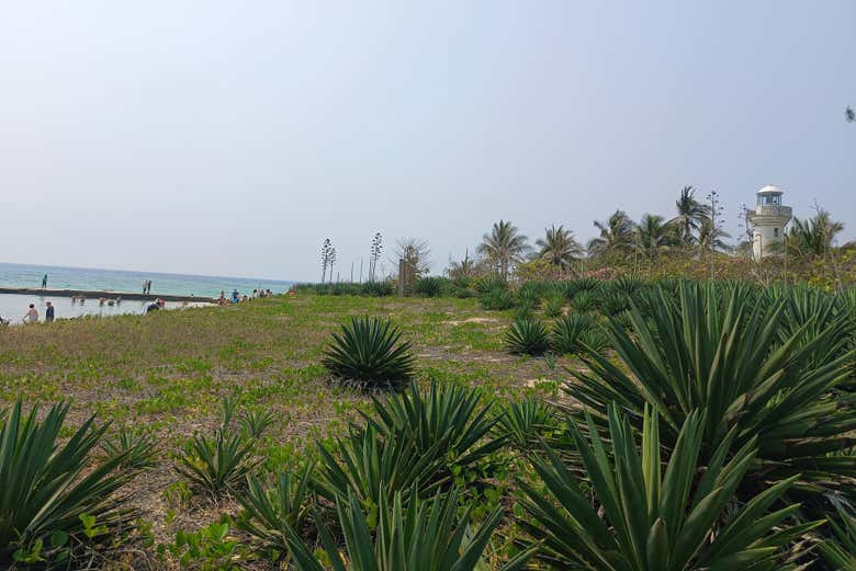 Vous découvrirez les magnifiques plages préservées de l'île