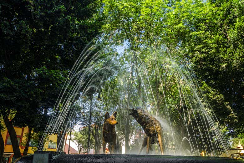 Fuente de los Coyotes