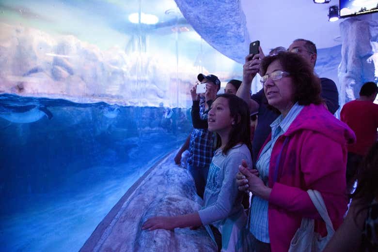 Disfrutando de la visita al Acuario Inbursa