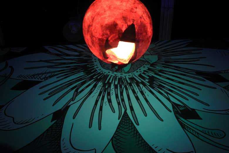 Un'immersione totale nel suo universo creativo!