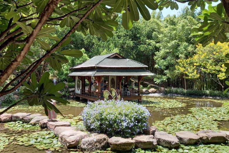 Giardino giapponese ai Jardines de México