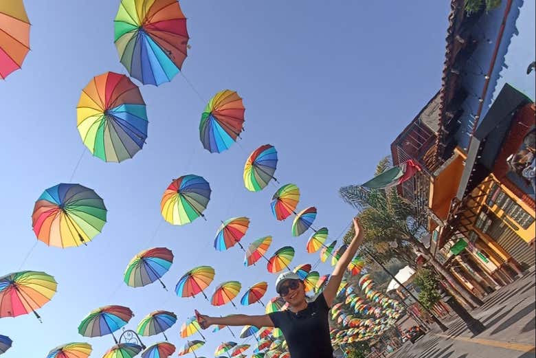 Colourful umbrellas above a street in Toluca
