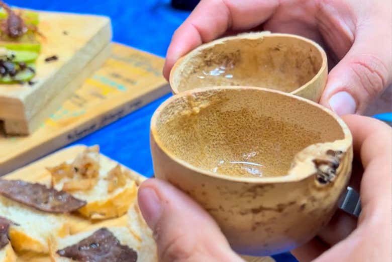 Dégustation de tequila