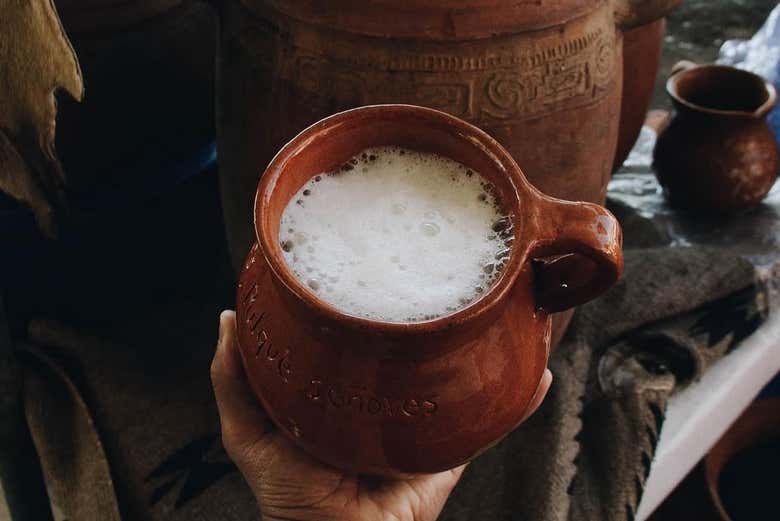 Conoceremos la tradición del pulque