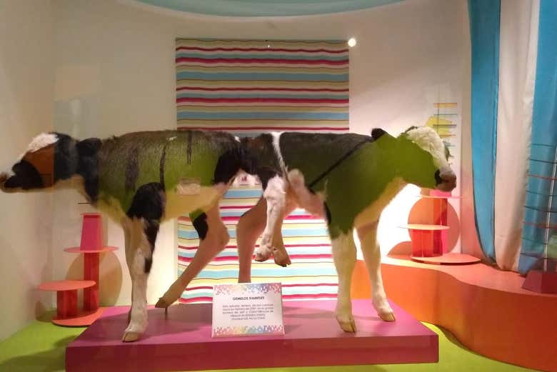 Visitando il Museo Ripley