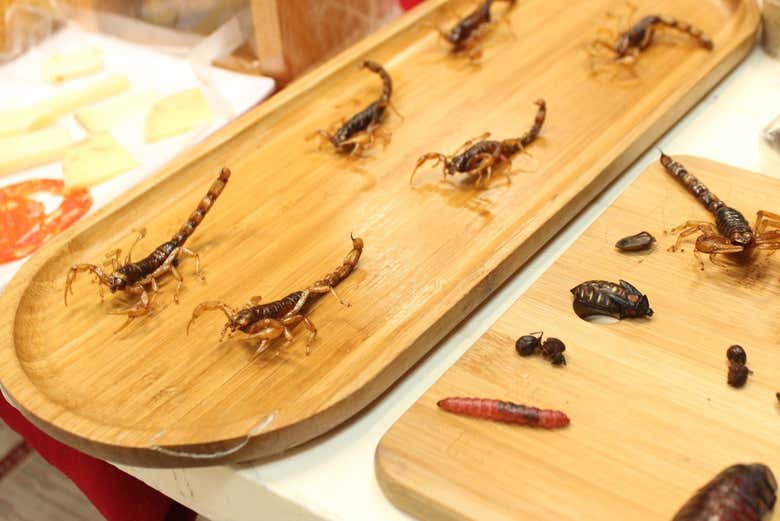 Variedades de insectos para probar 