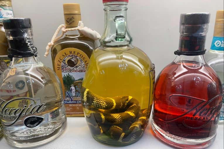 Vous découvrirez les secrets des boissons mexicaines