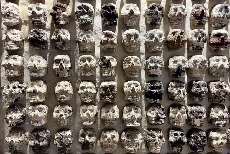 Le Tzompantli au Museo del Templo Mayor