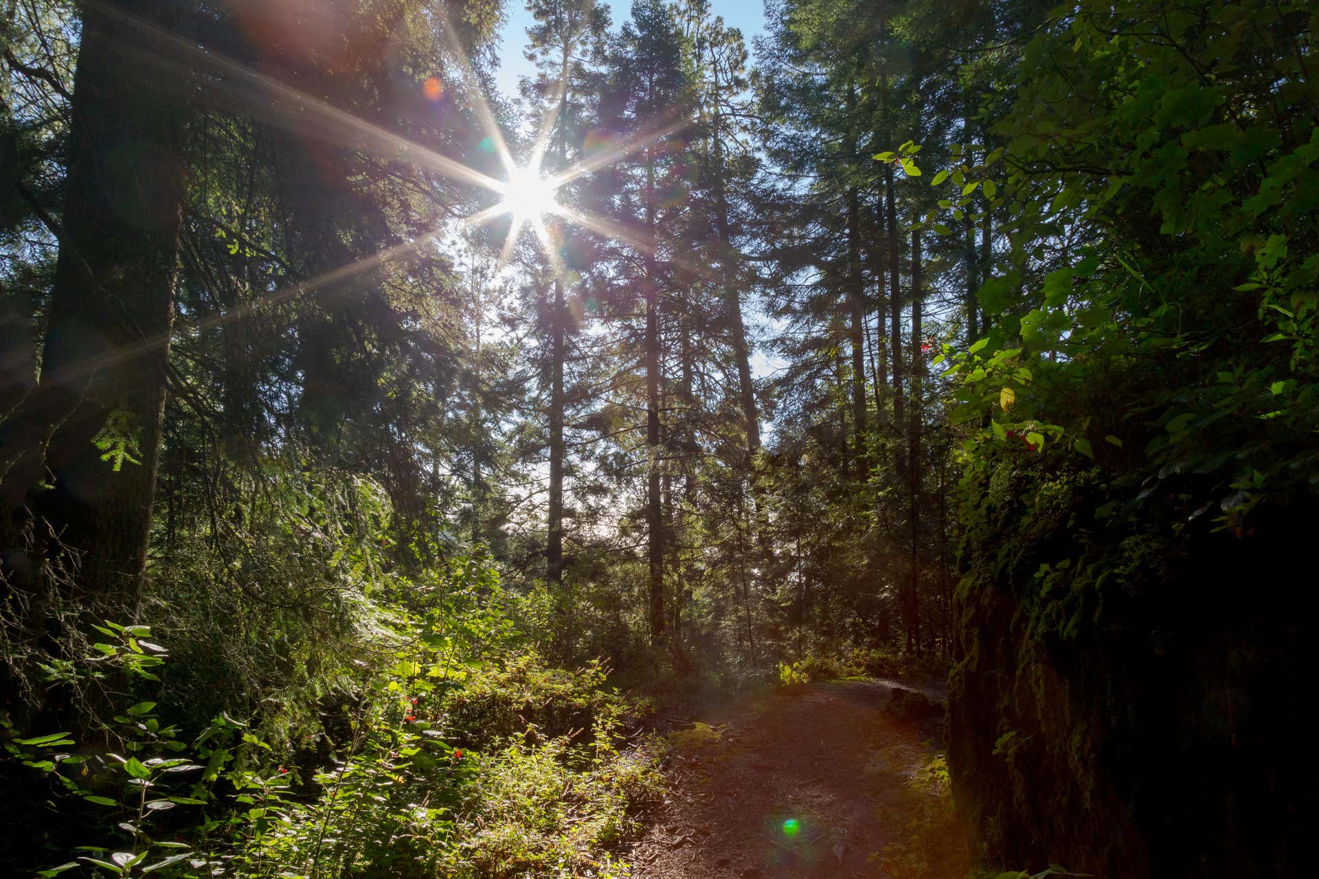 Senderismo al Monte Tláloc desde Ciudad de México