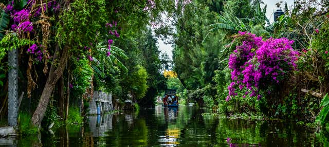 Tour por los barrios de Xochimilco y Coyoacán