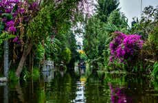 Tour por los barrios de Xochimilco y Coyoacán