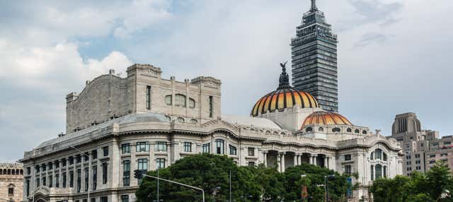 Tour privado por Ciudad de México ¡Tú eliges!