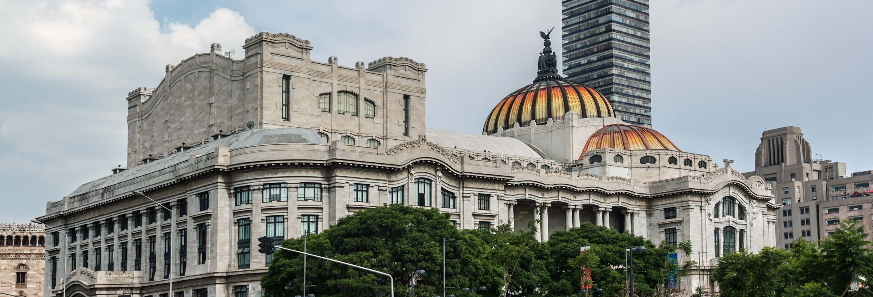 Guided Tours & Free Tours in Mexico City
