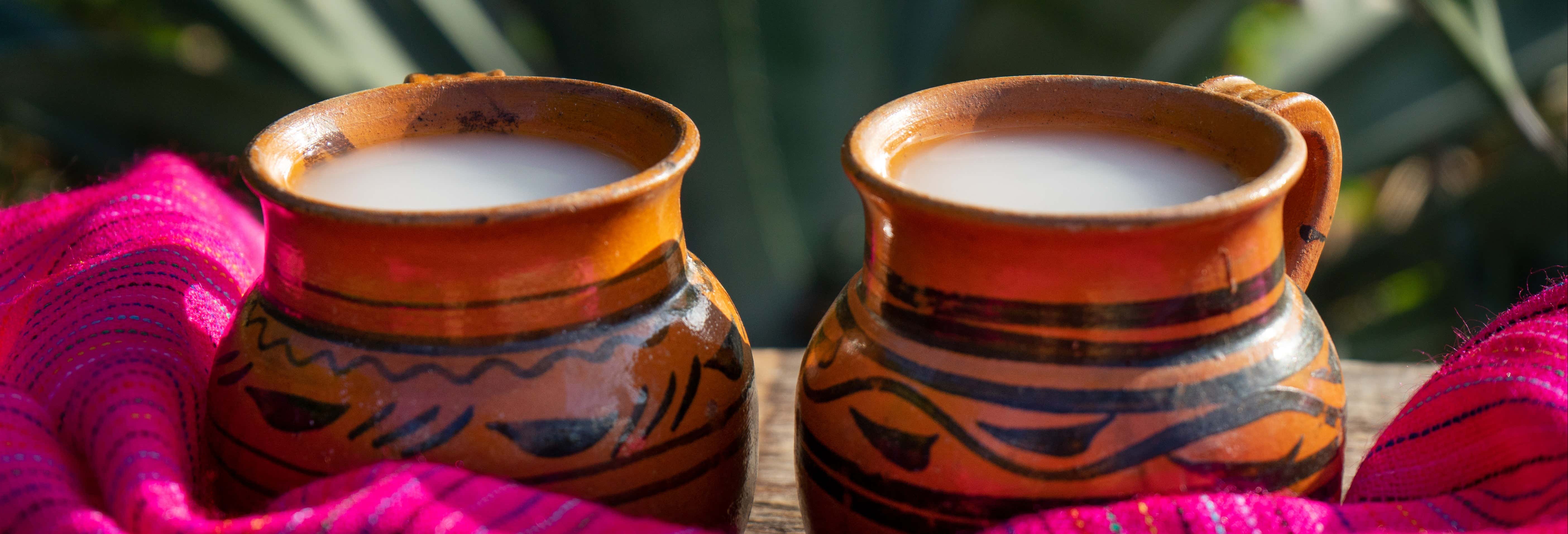 Food and wine experiences in Mexico City