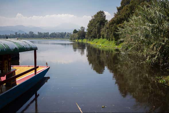 Tour di Xochimilco + Giro in canoa tradizionale