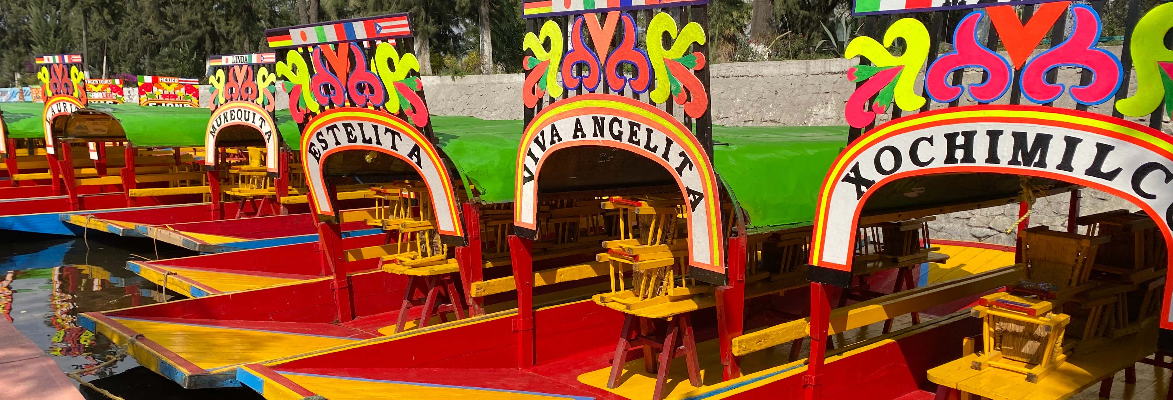 Guided Tours & Free Tours in Mexico City