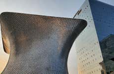Visita guidata del Museo Soumaya