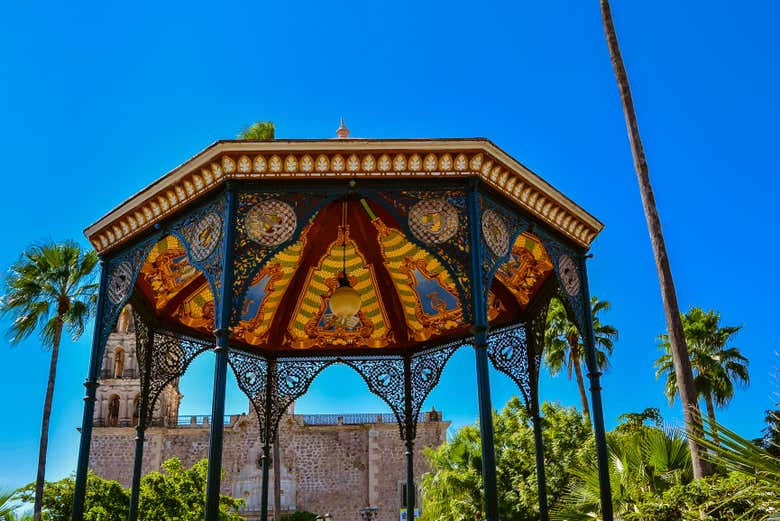 Discovering the town of Álamos