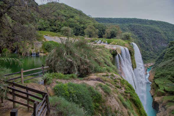 Excursión a Tamasopo y Puente de Dios