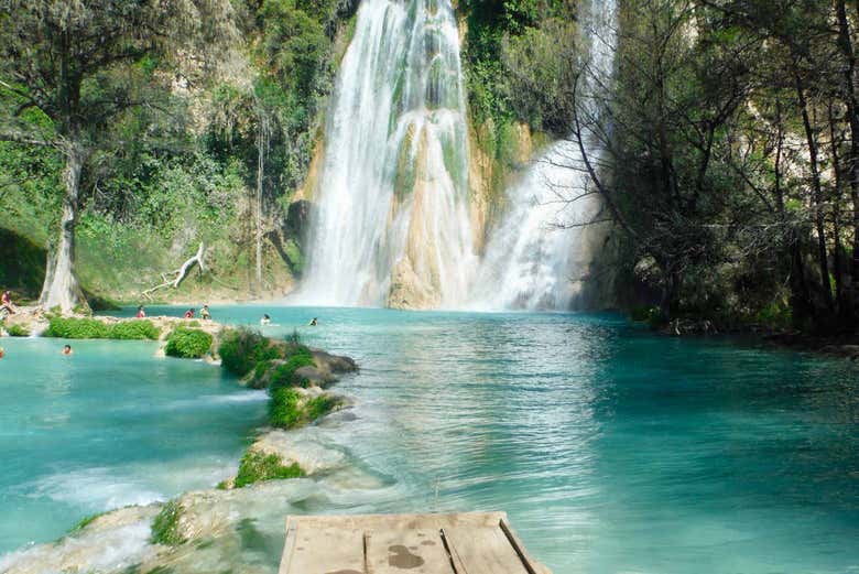 Naturaleza pura