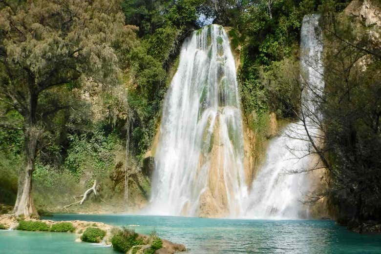 Excursión a las cascadas de Huasteca