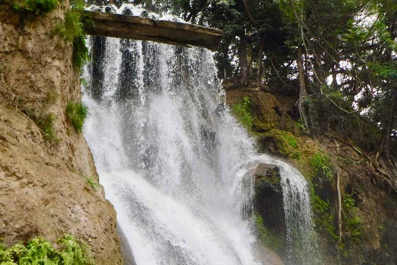 Les cascades de Tamasopo