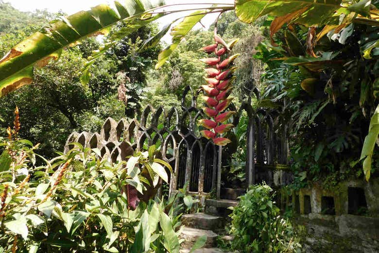 Natureza e encanto