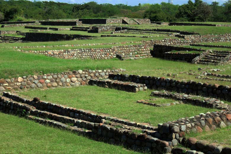 Uma viagem ao passado ancestral de La Campana