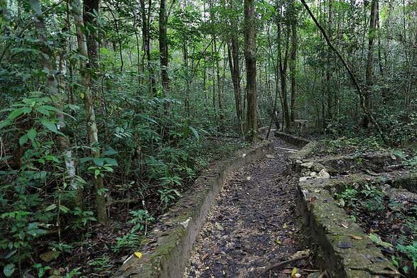 Senderos de la selva Lacandona 