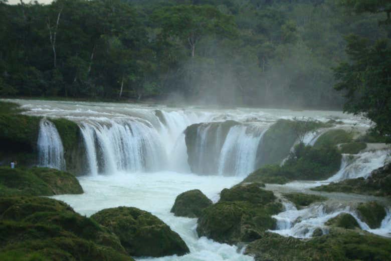 Área de cascadas de Causas Verdes 