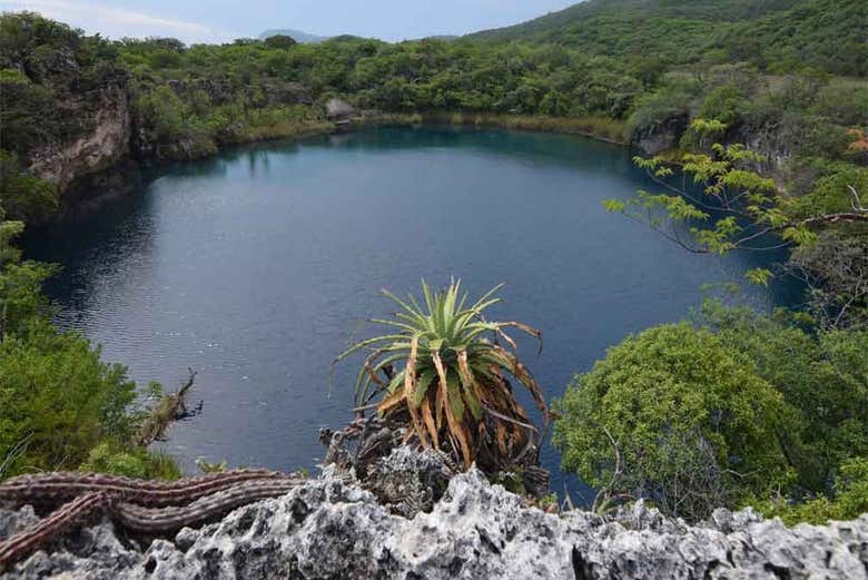 Visitaremos un bello cenote