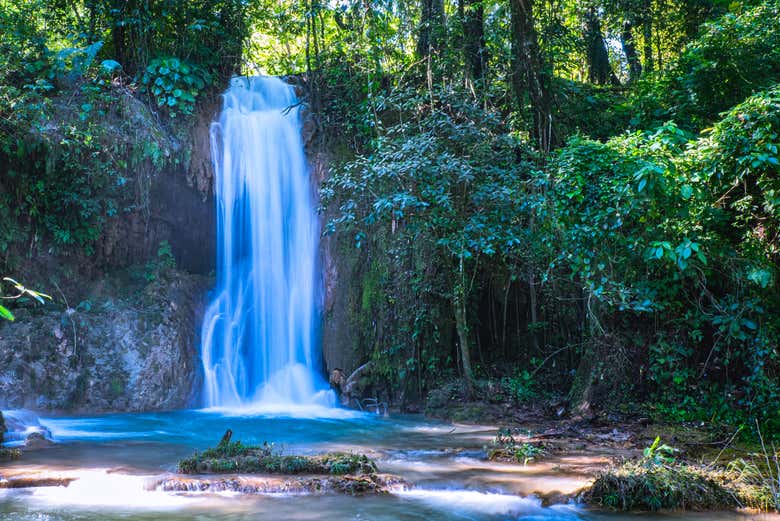 Entorno natural de Misol-Ha