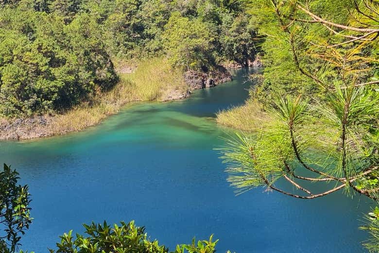 Vegetación de los Lagos de Montebello